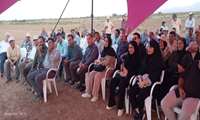 برگزاری «روز مزرعه پسته» در سبزوار با هدف ارتقای دانش فنی پسته کاران منطقه 